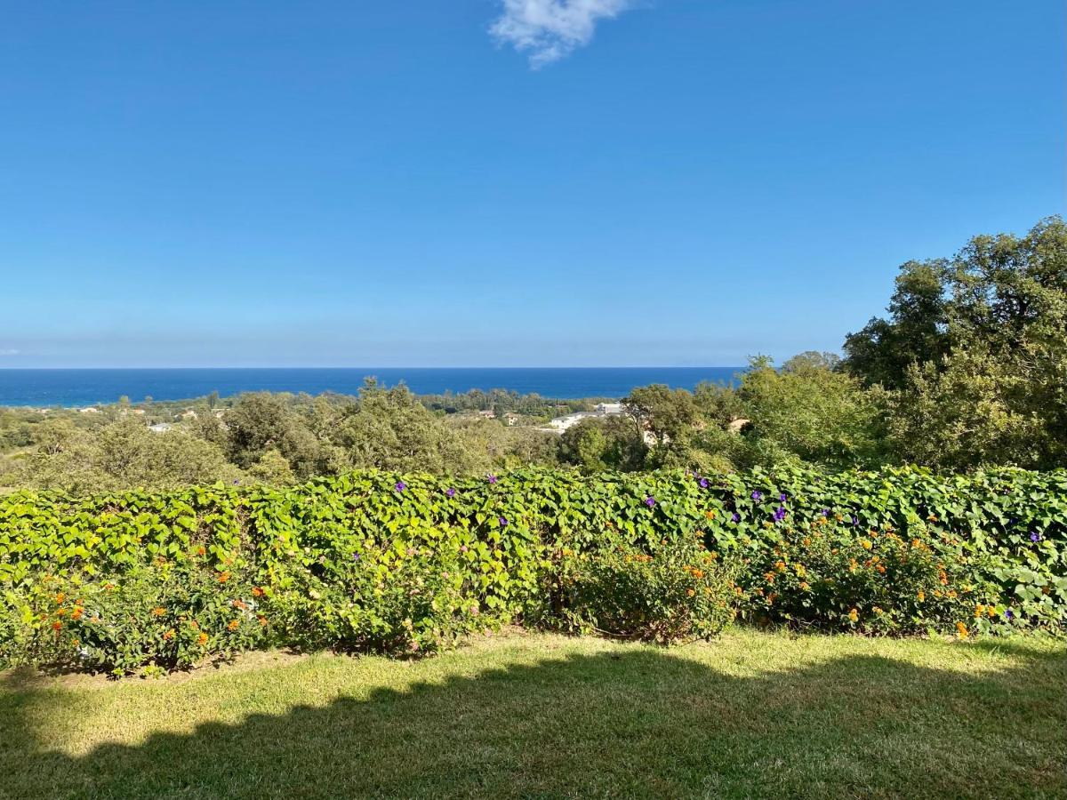Villa panorama maquis et mer, plage à 1,5 Km Cervione Exterior foto